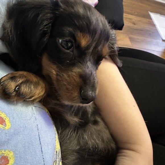 Meet your Posher, Kati - Picture 2 of 10